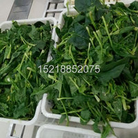 文中字幕一区二区三区视频播放